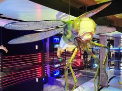 -现代汽车文化中心 Hyundai Motorstudio Beijing