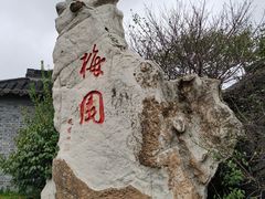 -梅园