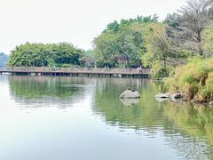-海珠湖公园