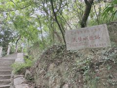 -紫金山天文台