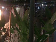 -都氏家DUSJOY(翡翠城店)