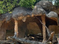 -杭州野生动物世界