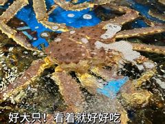 -盒马鲜生(皇庭广场店)