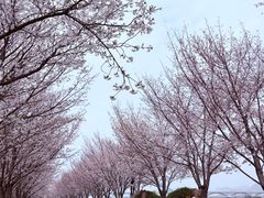 -龙湖杭州滨江天街