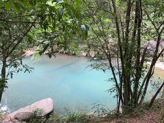 -广州白江湖森林公园