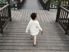 -天津东丽湖风景区