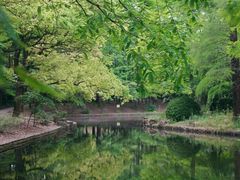 -上海共青森林公园