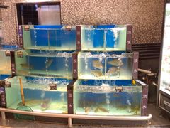 -PUMA品牌自营折扣店(武汉永旺梦乐城店)