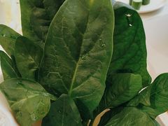 -印象高密·凤都国际大酒店