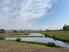 -洋湖国家湿地公园