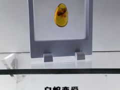 -河北博物院