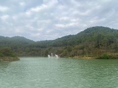 -广州白江湖森林公园