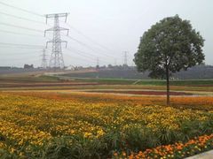 -紫颐香薰山谷景区