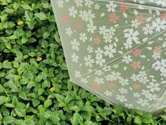 -荔香公园