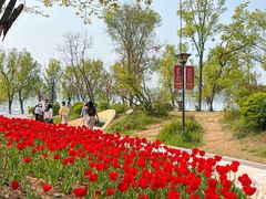 -祥源·阜阳生态乐园