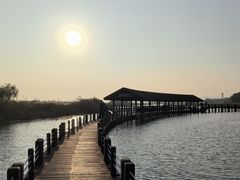 -苏州太湖湖滨国家湿地公园