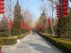 -大槐树寻根祭祖园