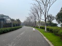 -石湖景区