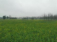 -蜀绣公园