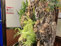 -成老灶火锅鸡(平山店)