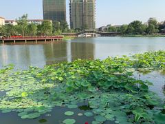 -西海子公园