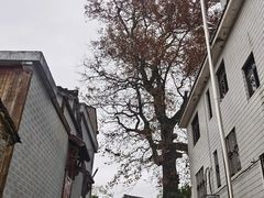 -乌石村