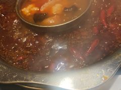 -一斗火锅·招财羊毛肚(北温泉九号店)