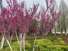 -云龙湖旅游景区