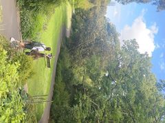 -墨尔本皇家植物园
