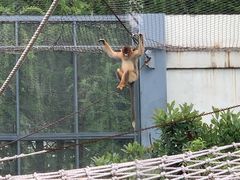 -上方山森林动物世界