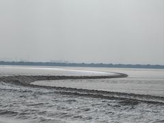 -观潮胜地公园