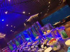 -海棠湾洲际-涛·海底餐厅·美人鱼·自助餐·海底隧道