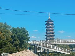 -葛仙湖公园