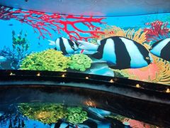 -唐宫足道·SPA·住宿24H会所(木渎店)