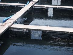 -蓝湾碧波·老字号·疍家非遗海上餐厅