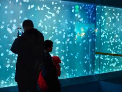 -太平洋海底世界