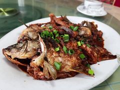 -双新垂钓园