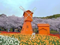-苏州上方山国家森林公园