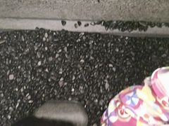 -重庆南山海昌汤都