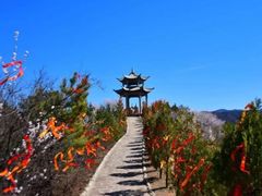 -山西通天峡景区