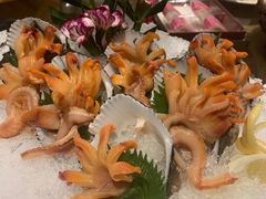 -大中华希尔顿酒店-念自助餐·嗨啤·小龙虾
