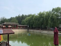 -尚庄度假村·庭台树下·户外烧烤·团建CS·轰趴营地(上庄水库店)