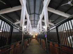 -上林马术中央公园·户外露营·团建·骑乘