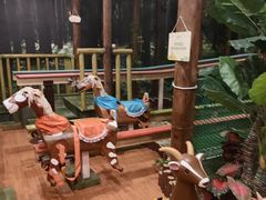 -黄海国家森林公园