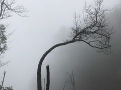 -峨嵋山金顶