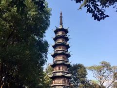 -上海佘山国家森林公园西佘山园