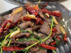 -蘑统田下·野生菌火锅