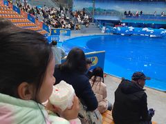 -海合安成都极地海洋公园