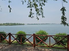 -丁香湖公园