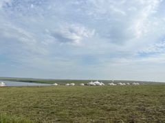 -呼和诺尔旅游景区